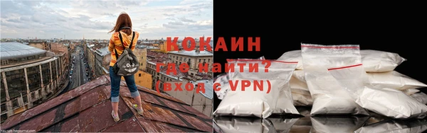 молекула духа Грязовец