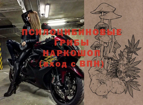 2c-b Надым