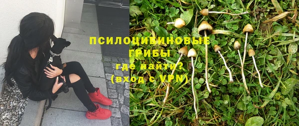 гидропоника Навашино
