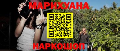PSILOCYBIN Гатчина