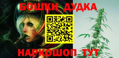 PSILOCYBIN Гатчина