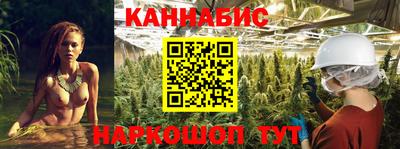 PSILOCYBIN Гатчина