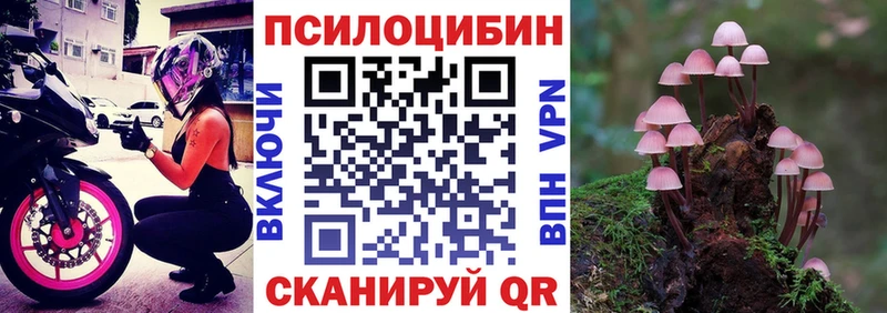 Псилоцибиновые грибы мицелий Избербаш