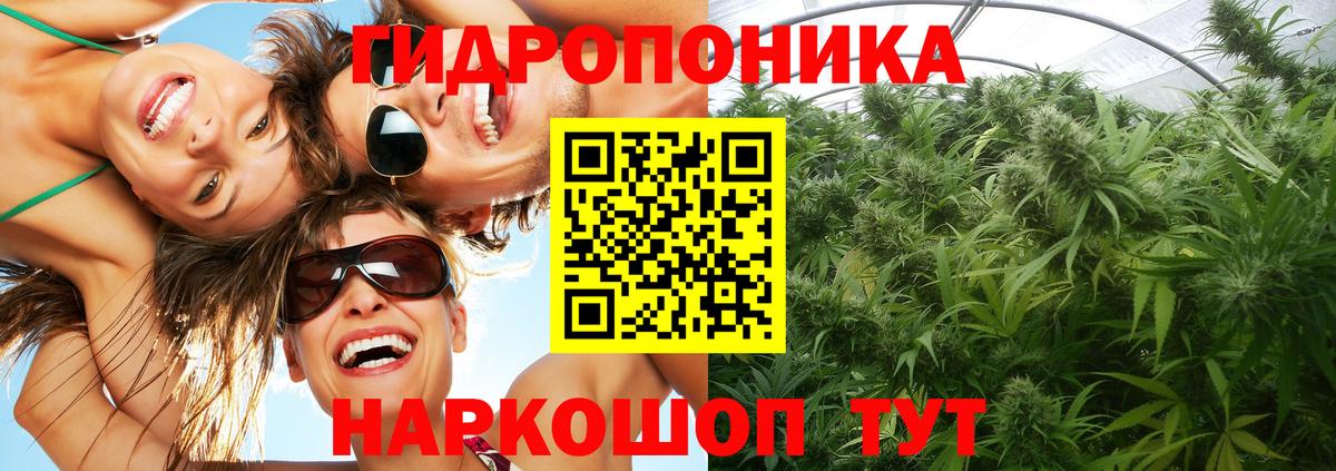 Марихуана конопля  МАРИХУАНА план  Вход с VPN  Бошки Шишки тримм  Избербаш 